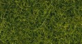 Noch 07112: Статическая трава XL светлозеленая 12 мм